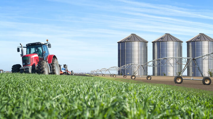 Tudo Sobre a Agroindústria no Brasil